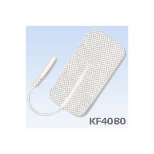 Elétrodo Reutilizável...