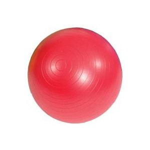 Msd Bola P/Exercicios Ø55cm...