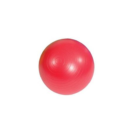 Msd Bola P/Exercicios Ø55cm Vermelha Ab Gym Pvc C/Bomba