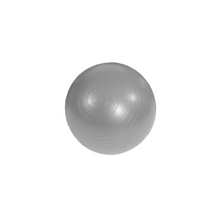 Msd Bola P/Exercicios Ø95cm Silver Ab Gym Pvc C/Bomba