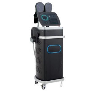 Hiems-RF Remodelador...