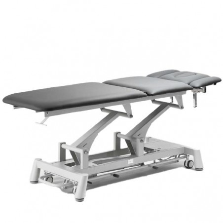 Marquesa elétrica TITAN Silver Fox 304F, 1 motor, 4 partes, apoios braços