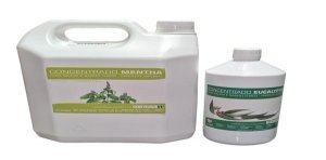 Essência de Menta para sauna e banho turco 1 litro